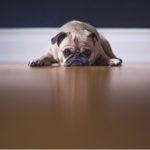 USCPA(米国公認会計士)のキャリアアップ転職：監査法人を経験すべき理由
